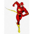 Flash
