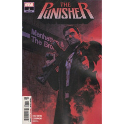 PUNISHER ISSUE 1 - FIRST 1st PRINT ROSENBERG - MARVEL COMICS